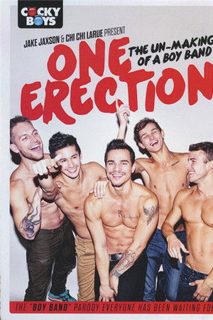 One Erection One Erection