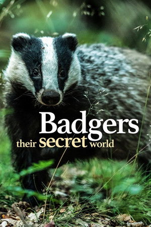 Badgers: Their Secret World Badgers: Their Secret World