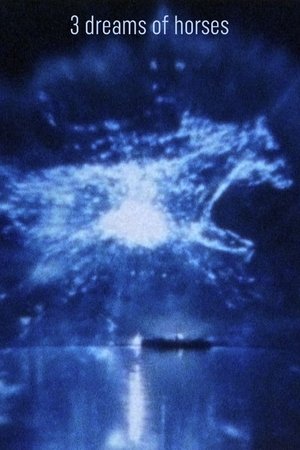 3 Dreams of Horses 3 Dreams of Horses