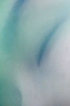 Sleeping Beauty Sleeping Beauty