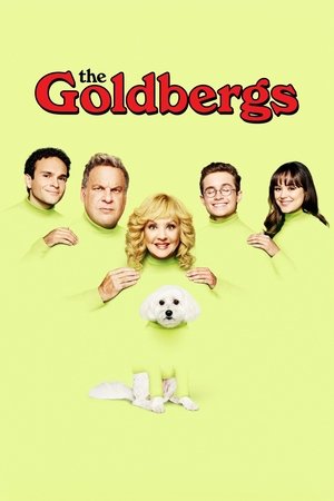 The Goldbergs The Goldbergs