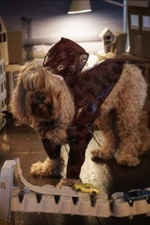 John the Dog