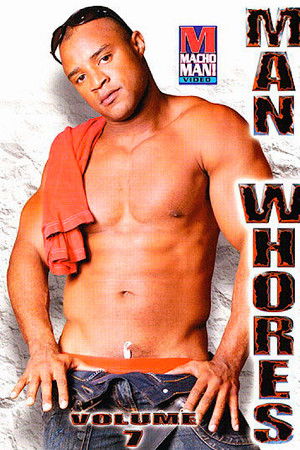 Cats Between 4 Walls 2