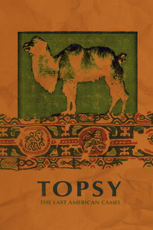 Topsy: The Last American Camel Topsy: The Last American Camel