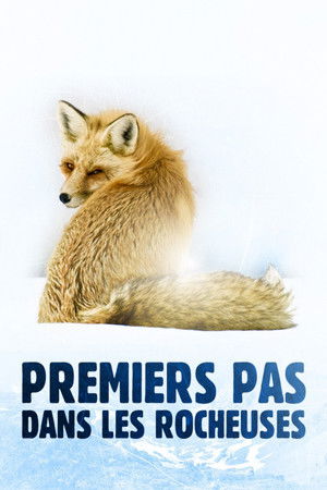 Premiers pas dans les Rocheuses Premiers pas dans les Rocheuses