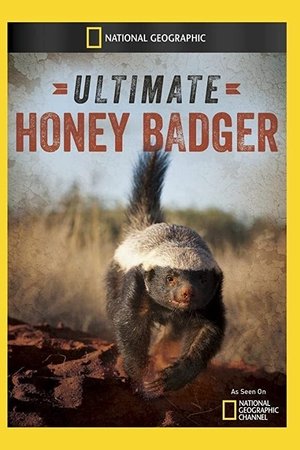 Ultimate Honey Badger Ultimate Honey Badger