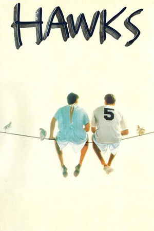 Hawks Hawks