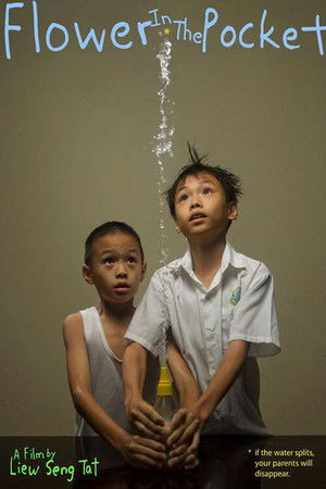 Flower in the Pocket Flower in the Pocket