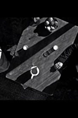 Anima Animus Anima Animus