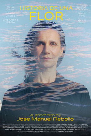 A Flower's Story A Flower's Story