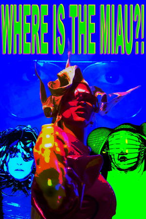 Where is the miau?! Where is the miau?!