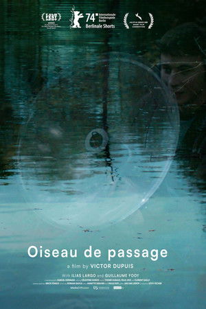 Wandering Bird Wandering Bird