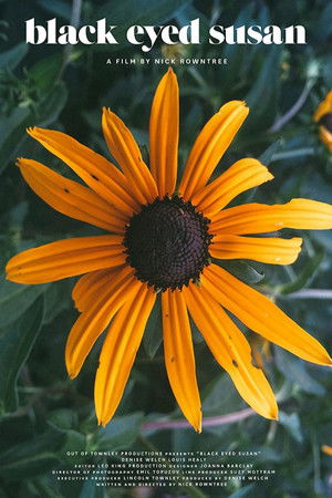 Black Eyed Susan