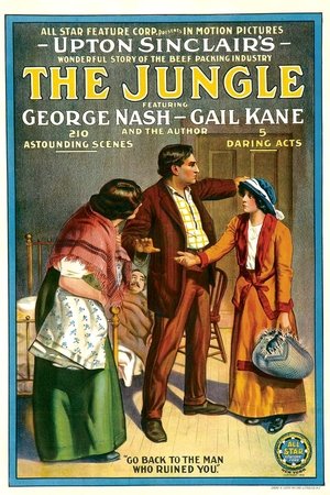 The Jungle The Jungle