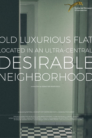 Old, Luxurious Flat Located in an Ultra-Central, Desirable Neighborhood Old, Luxurious Flat Located in an Ultra-Central, Desirable Neighborhood