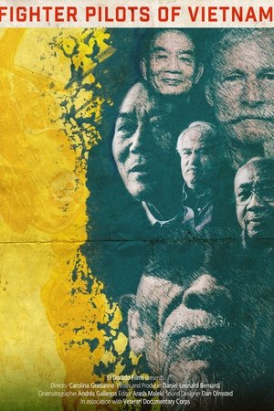 Fighter Pilots of Vietnam Fighter Pilots of Vietnam