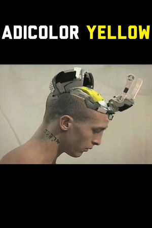 Adicolor Yellow Adicolor Yellow