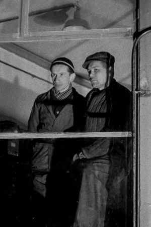 Rolling Mill Rolling Mill