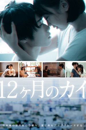 12 Months of KAI 12 Months of KAI