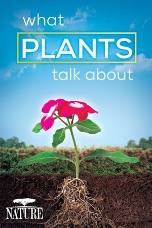What Plants Talk About
