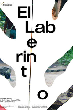 The Labyrinth The Labyrinth