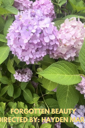 Forgotten Beauty Forgotten Beauty