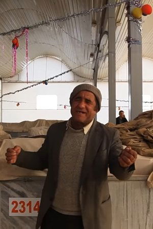 Neither live nor die in Tashkent Neither live nor die in Tashkent