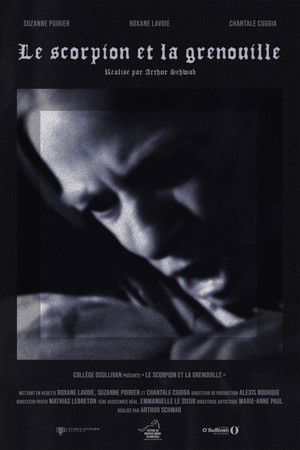 Le scorpion et la grenouille