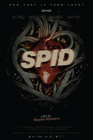 SPID SPID