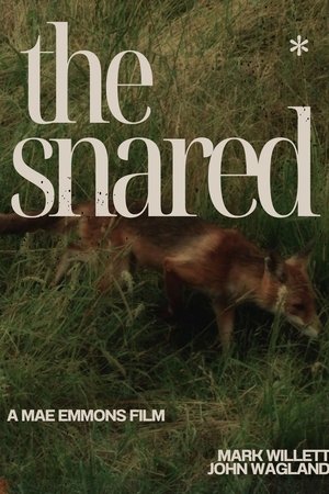 The Snared The Snared