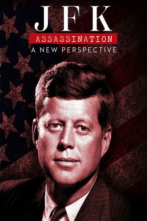 JFK Assassination: A New Perspective JFK Assassination: A New Perspective