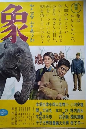 Elephant from "Zoo Story" Elephant from "Zoo Story"