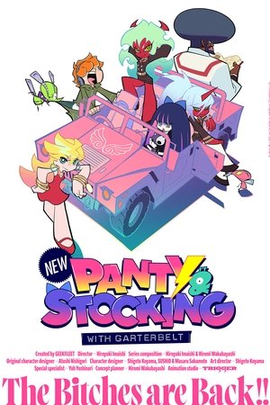 New PANTY & STOCKING with GARTERBELT