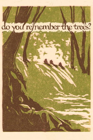 do you remember the trees? do you remember the trees?