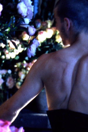 Quelques fleurs pour un chant d'amour Quelques fleurs pour un chant d'amour