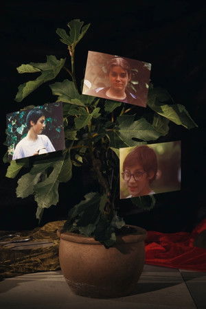 Diamenteurs Diamenteurs