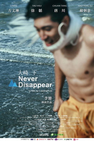 Never Disappear Never Disappear