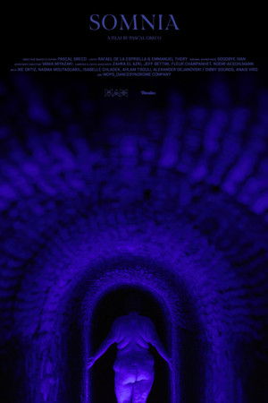 Somnia Somnia