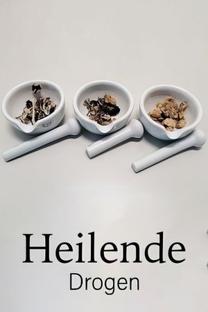 Drugs that Heal: Could Psychedelics Treat Depression?