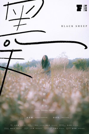 Black Sheep Black Sheep