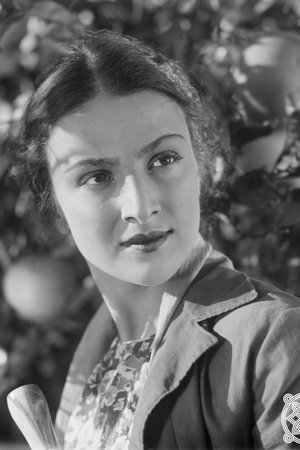 The Lights of Kolchis The Lights of Kolchis