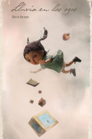 Rain in the Eyes Rain in the Eyes