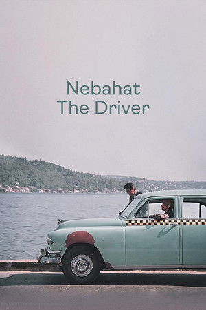 Nebahat The Driver Nebahat The Driver