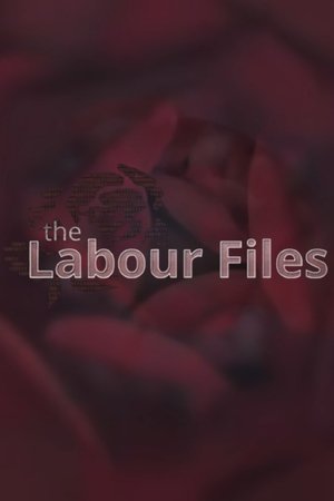 The Labour Files The Labour Files