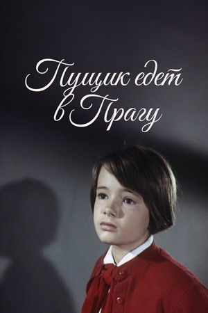 Pushchik Goes to Prague Pushchik Goes to Prague