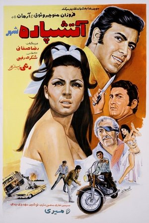 Fireworks of the City Fireworks of the City