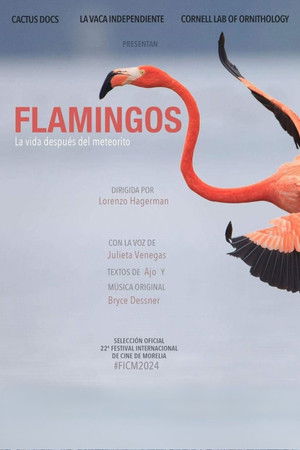 Flamingos Flamingos