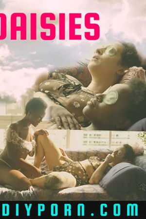Daisies Daisies