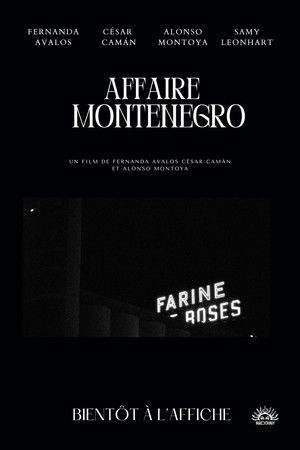 The Montenegro Affair