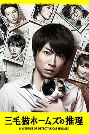 Mysteries of Detective Cat HOLMES